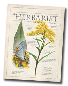The Herbarist