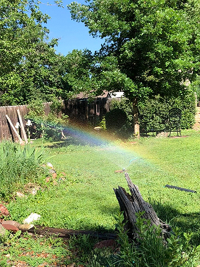 Sprinkler Rainbow