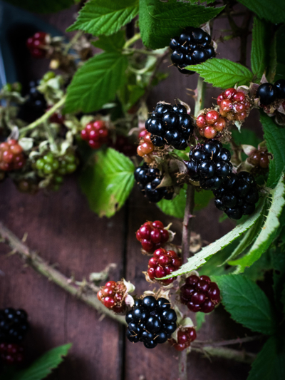 Blackberries, Monika Grabkowska