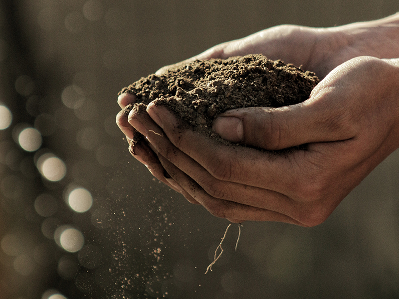 Hands Holding Dirt