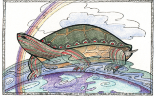 Turtle by Susan Andra Lyon