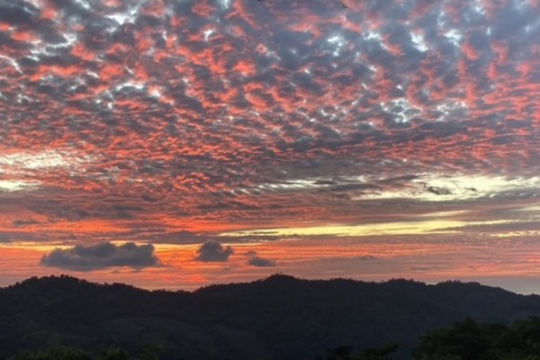 Sunset_LolaWilcox Sunset by Lola Wilcox